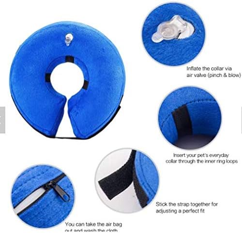 Collar inflable isabelino para mascotas grandes