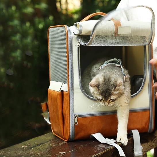 Mochila transportadora espaciosa para gatos