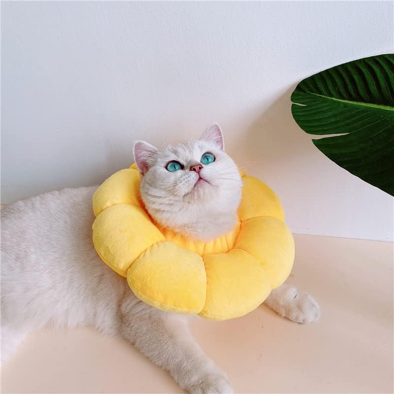 Collar isabelino de peluche con forma de girasol