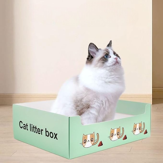 Arenero desechable de cartón para gato