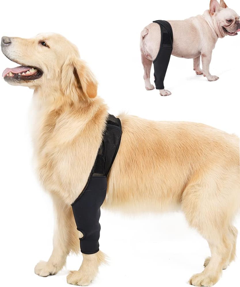 Rodillera para perro, dislocación de la rodilla, artritis, rehabilitación de articulaciones y rodilla, apoyo extra inmovilizado, alivia el dolor y reduce la inflamación