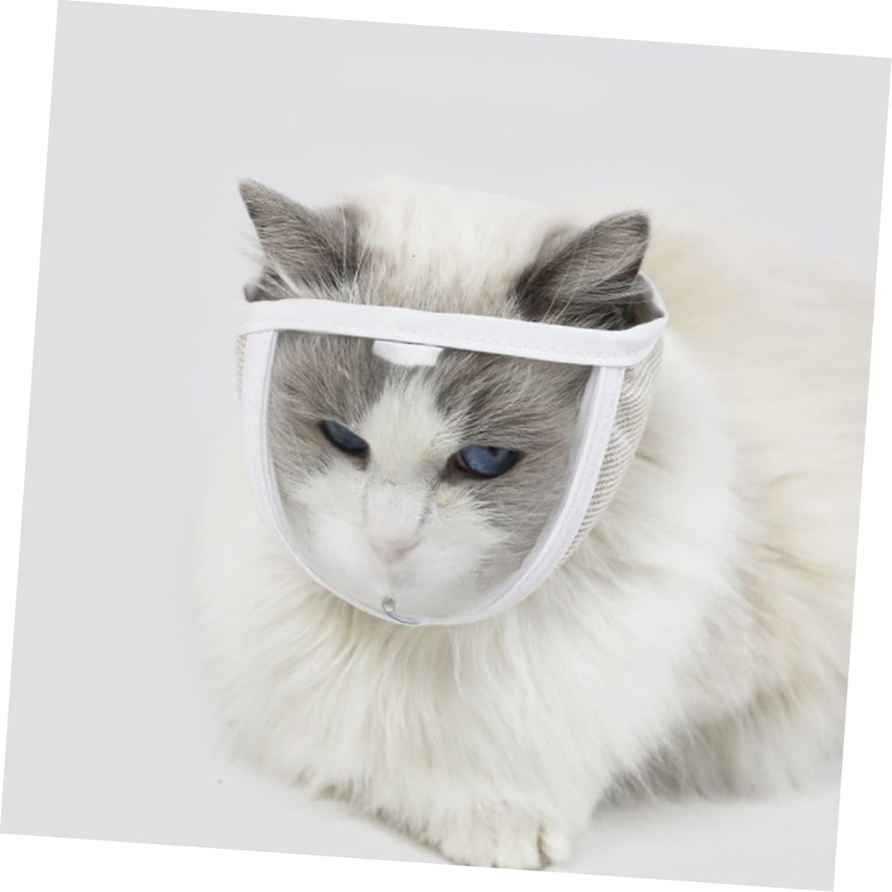 Bozal transparente para gatos pequeños