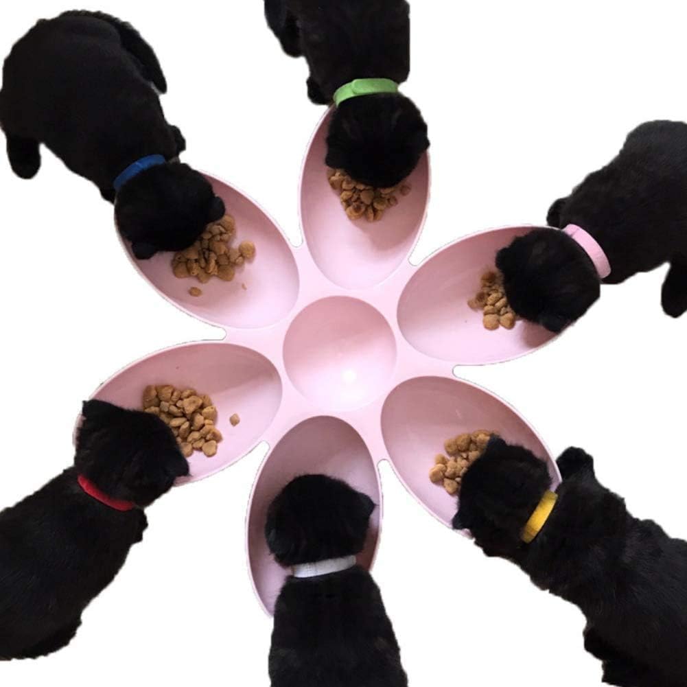 Plato 6 en 1 estilo flor para mascotas