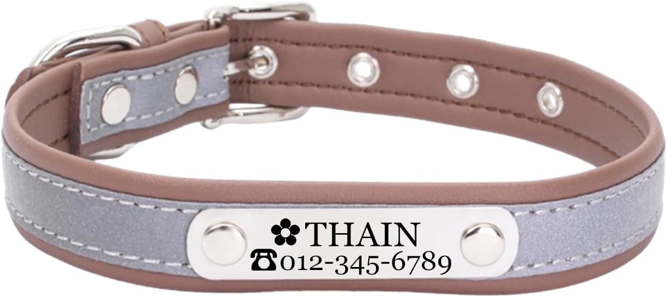 Collar personalizado para perros de raza pequeña y grande