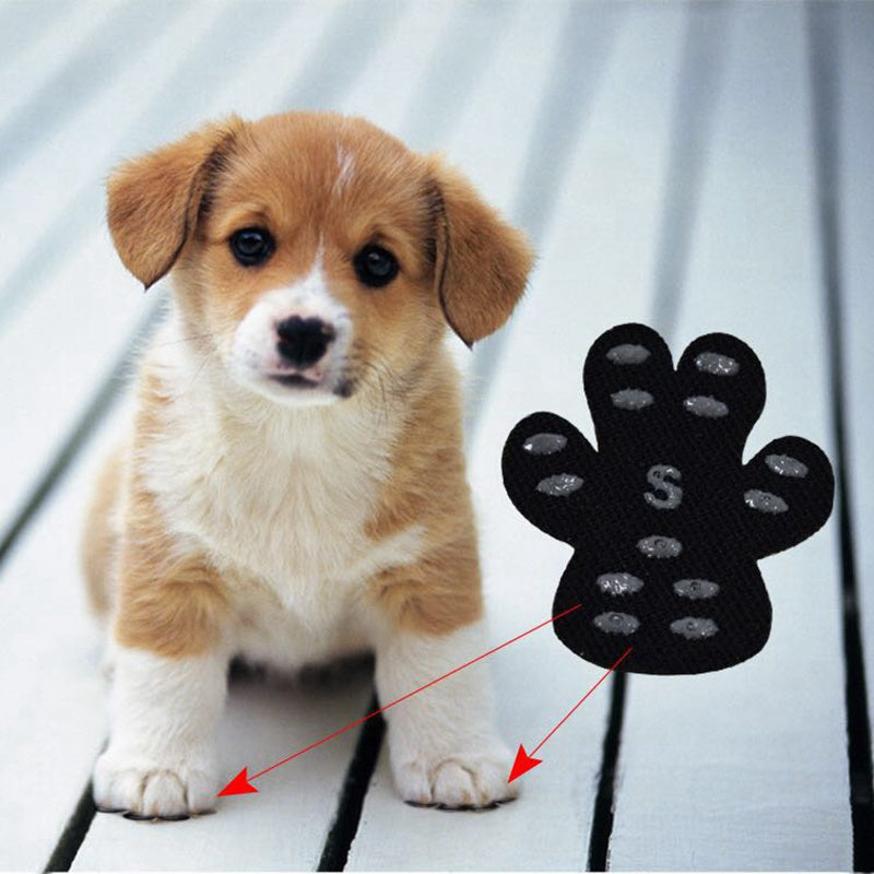 Parches protectores para patas