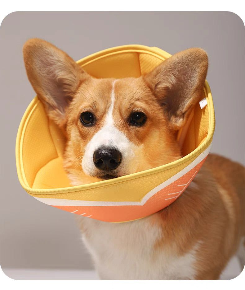 Cono isabelino suave para gatos y perros