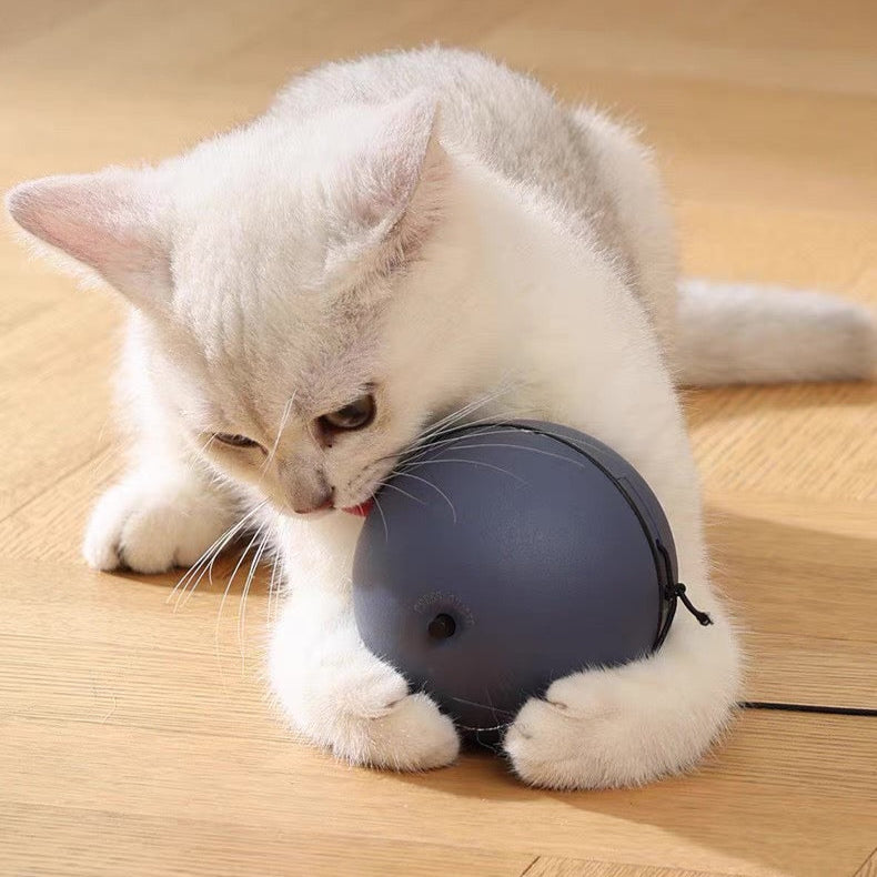 Pelota interactiva para gatos con ratón (Batería AA)