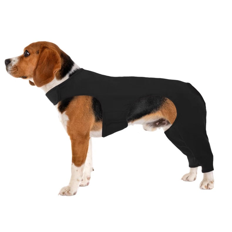 Soporte de recuperación trasero para perros