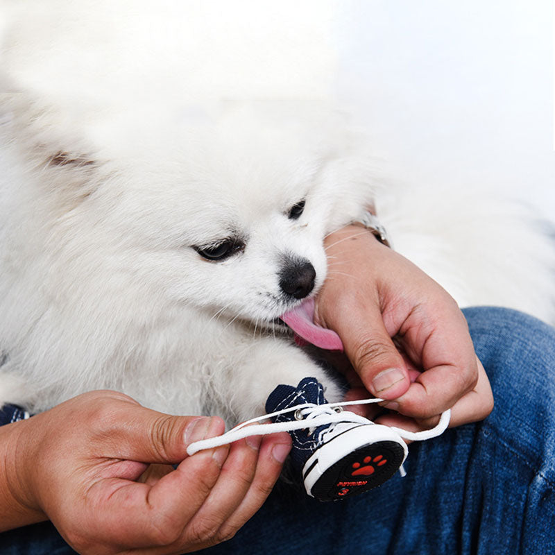 Zapatos de mascotas con cordones