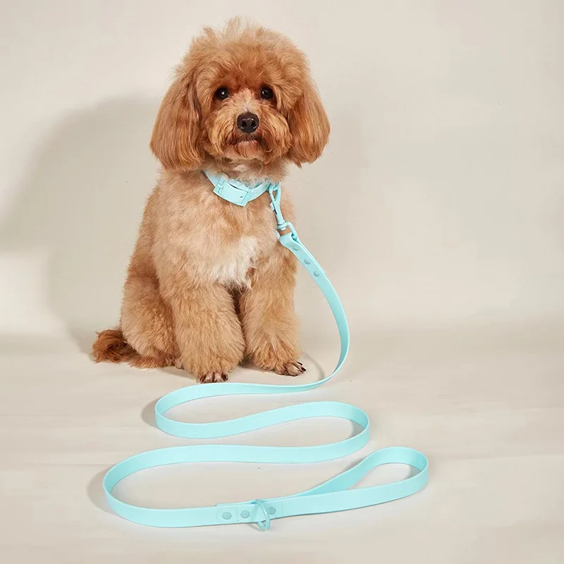 Set correa con collar a prueba de agua