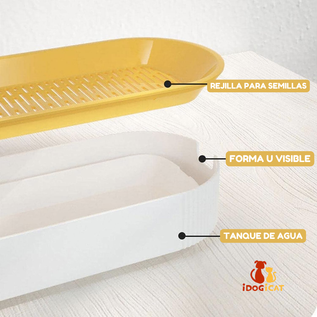 Bandeja hidropónica de hierba para gatos (Catnip)