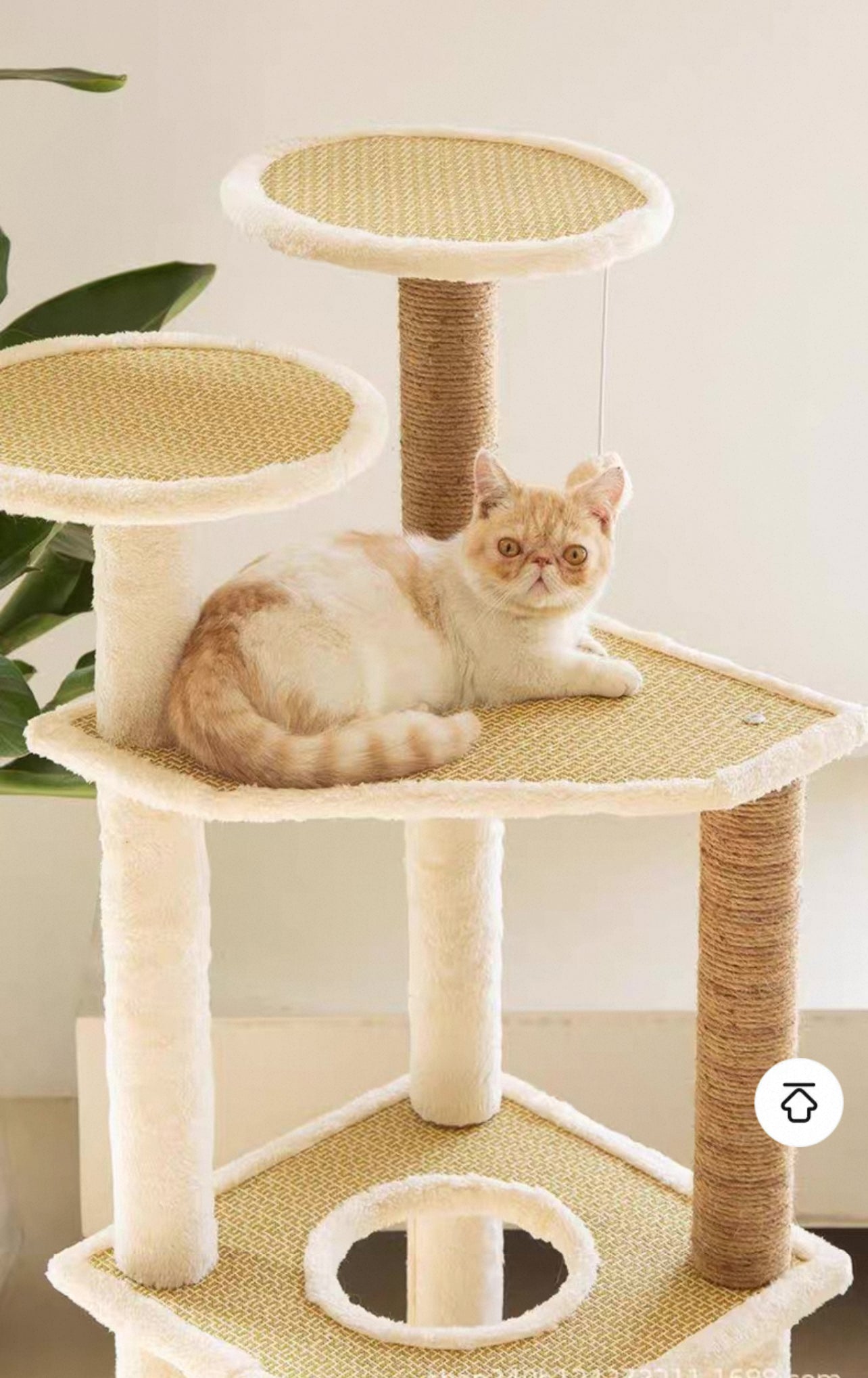 Torre para gatos (Modelo MT25)