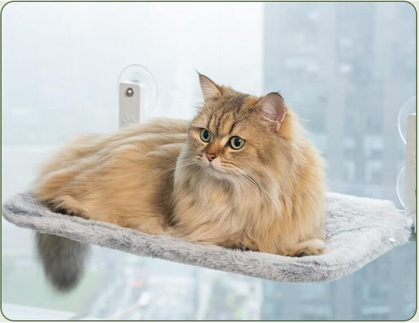 Hamaca de ventana para gatos (dos estilos) hasta 33 libras