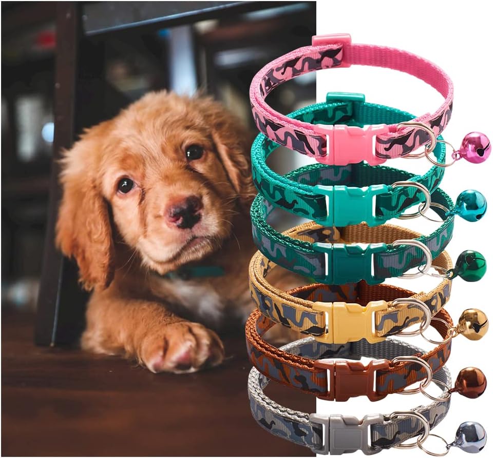 Collares con campana para perros