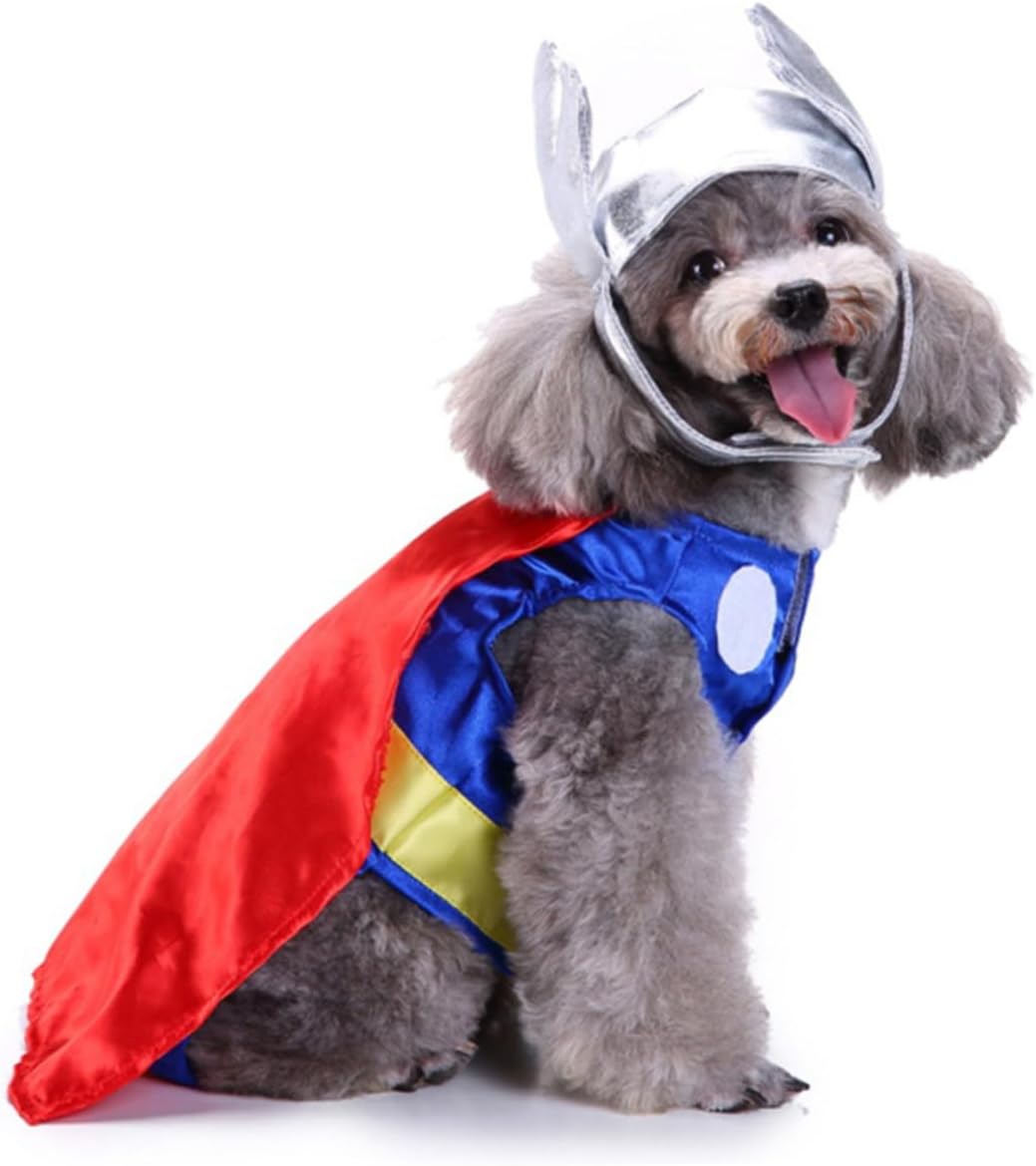 Disfraz de Halloween Thor para mascotas