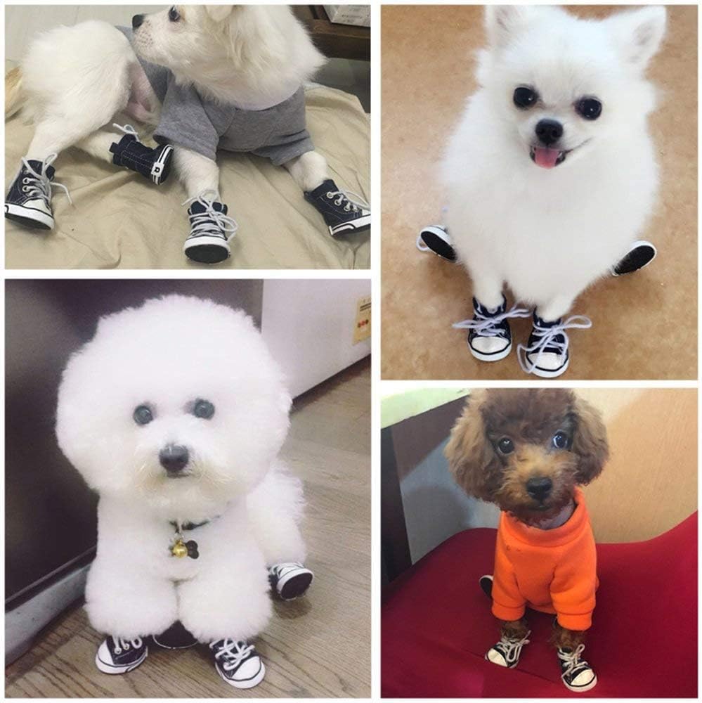 Zapatos de mascotas con cordones