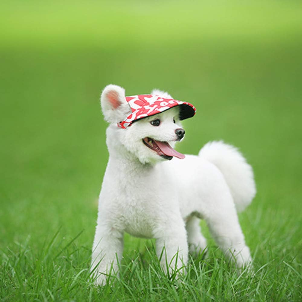 Gorras para mascotas, ajustable (diferentes modelos)