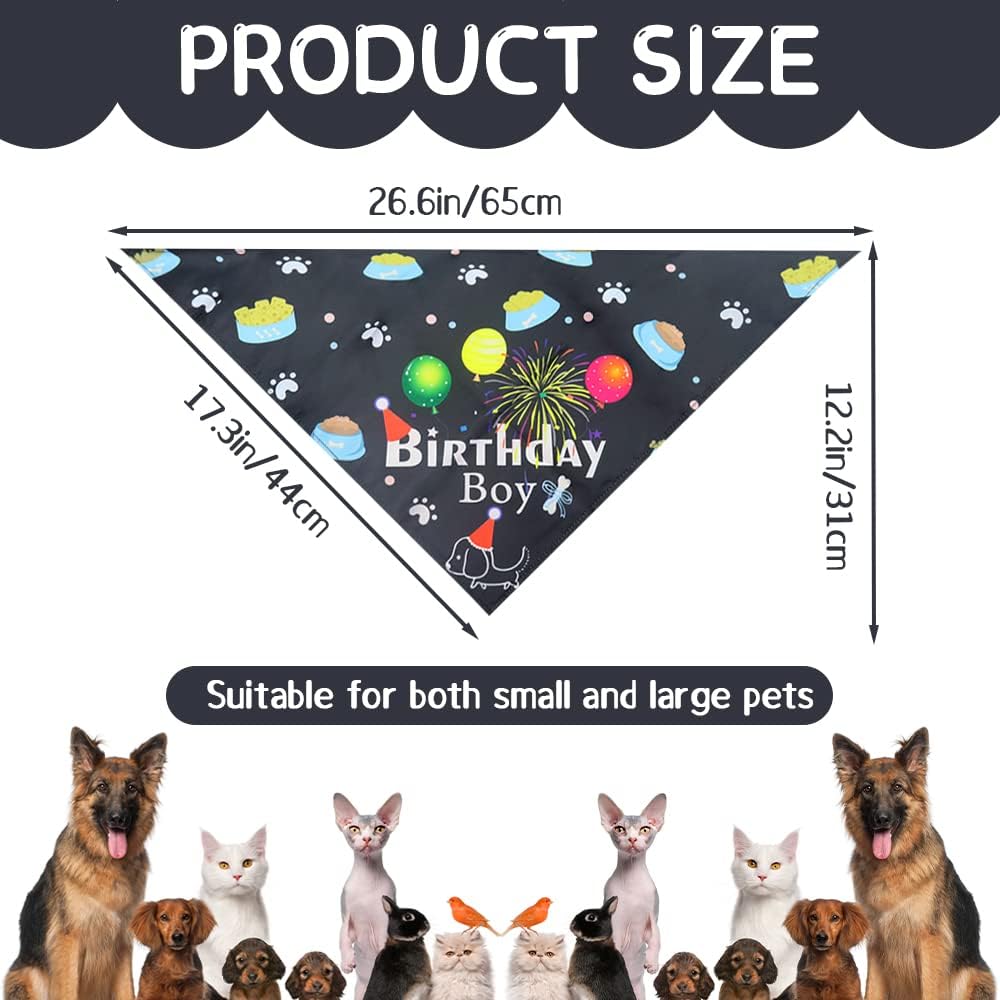Bandana de Cumpleaños (Modelo #5)
