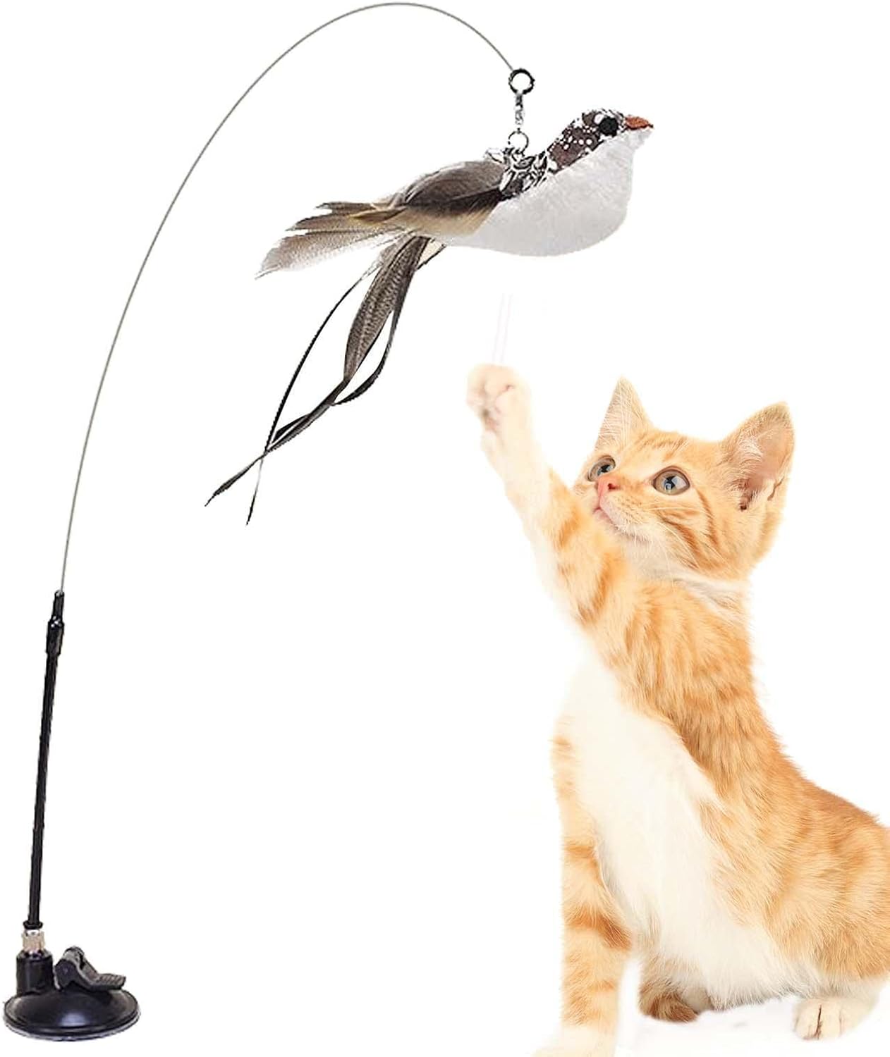 Cañita para gatos con ventosa (variedad de modelos)
