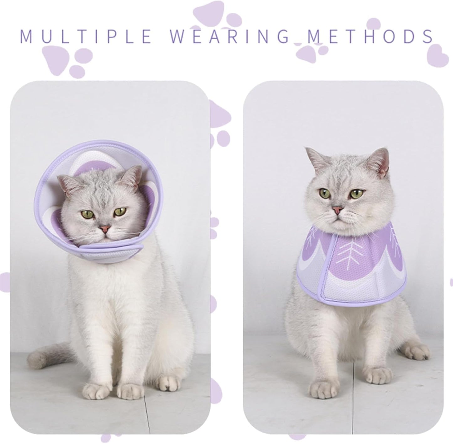 Cono isabelino suave para gatos y perros