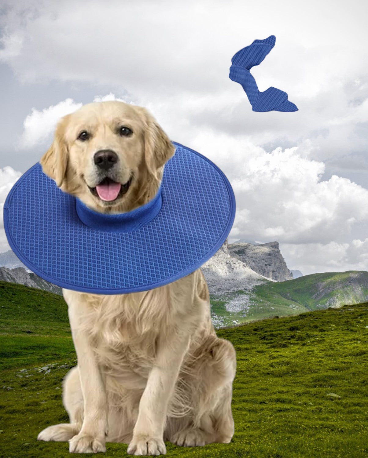 Collar Isabelino de tela impermeable para perros