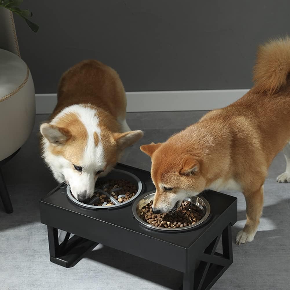 Comedero alto lento de 27.5cm de alto para perros Modelo #2