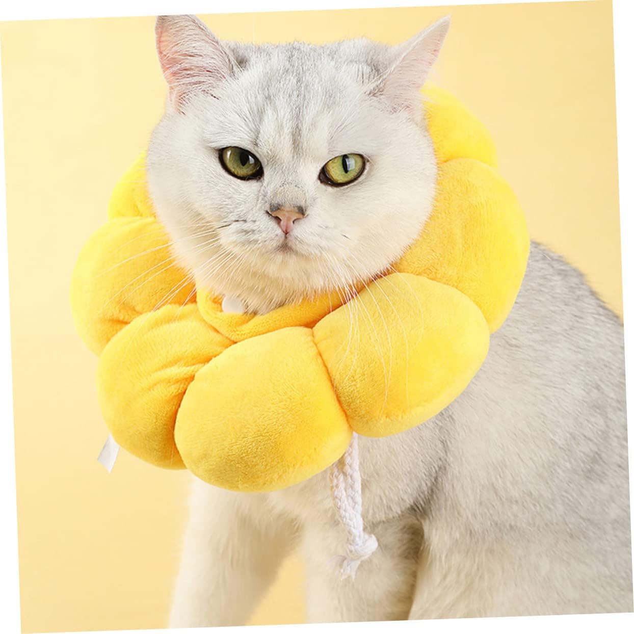 Collar isabelino de peluche con forma de girasol