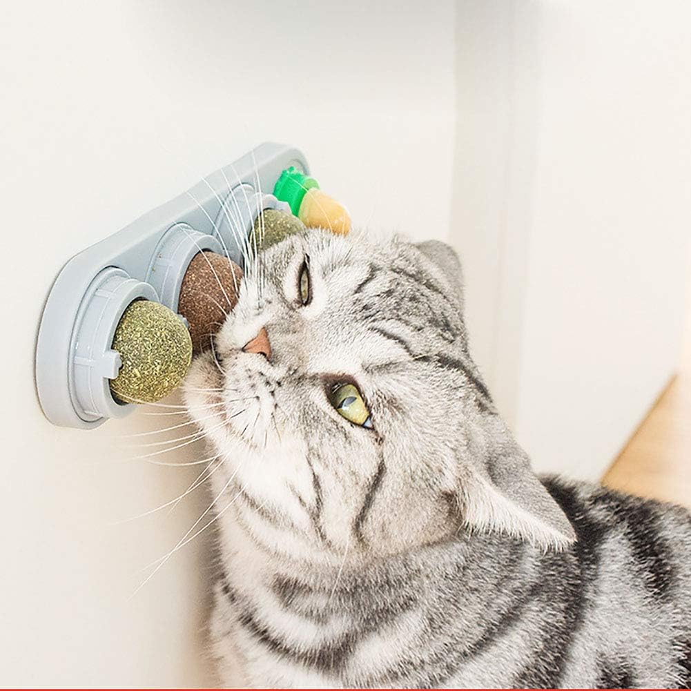 Catnip de 4 piezas adherible a pared y muebles para gatos
