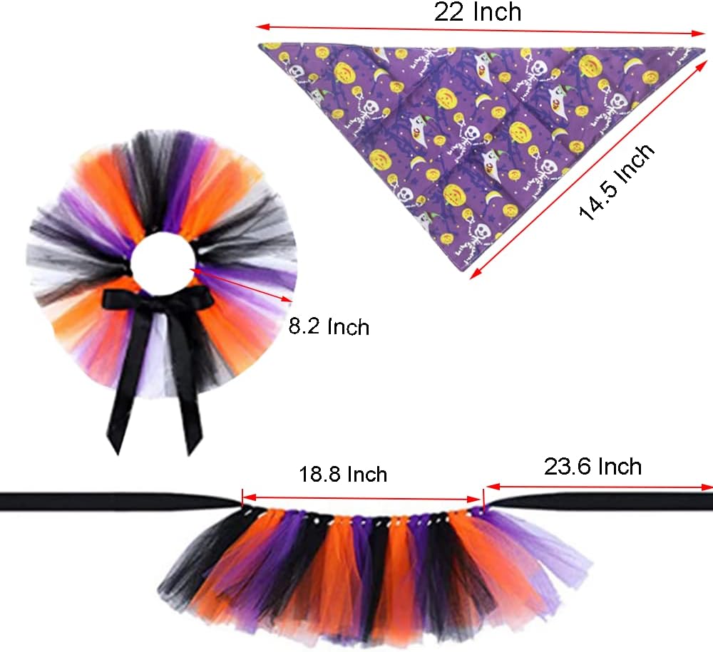 Conjunto de hembra para halloween