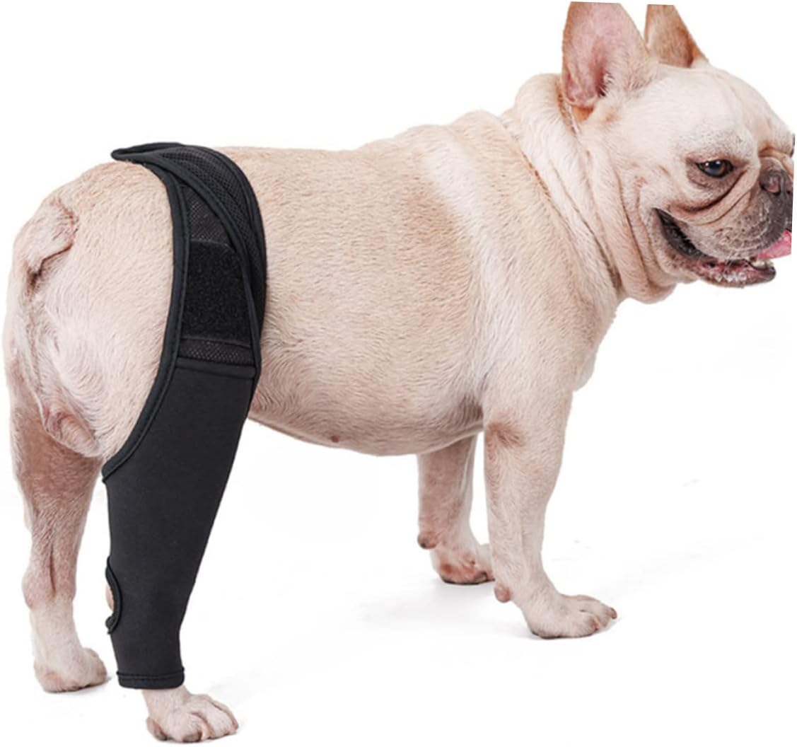 Rodillera para perro, dislocación de la rodilla, artritis, rehabilitación de articulaciones y rodilla, apoyo extra inmovilizado, alivia el dolor y reduce la inflamación