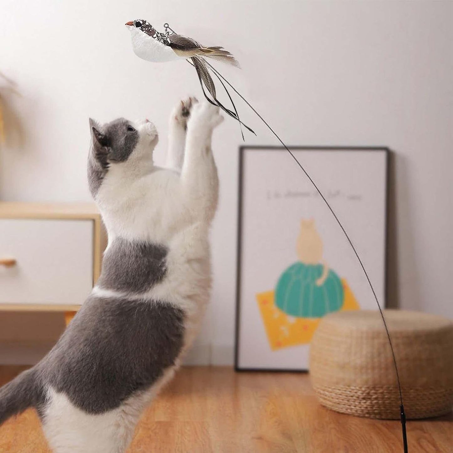 Cañita para gatos con ventosa (variedad de modelos)