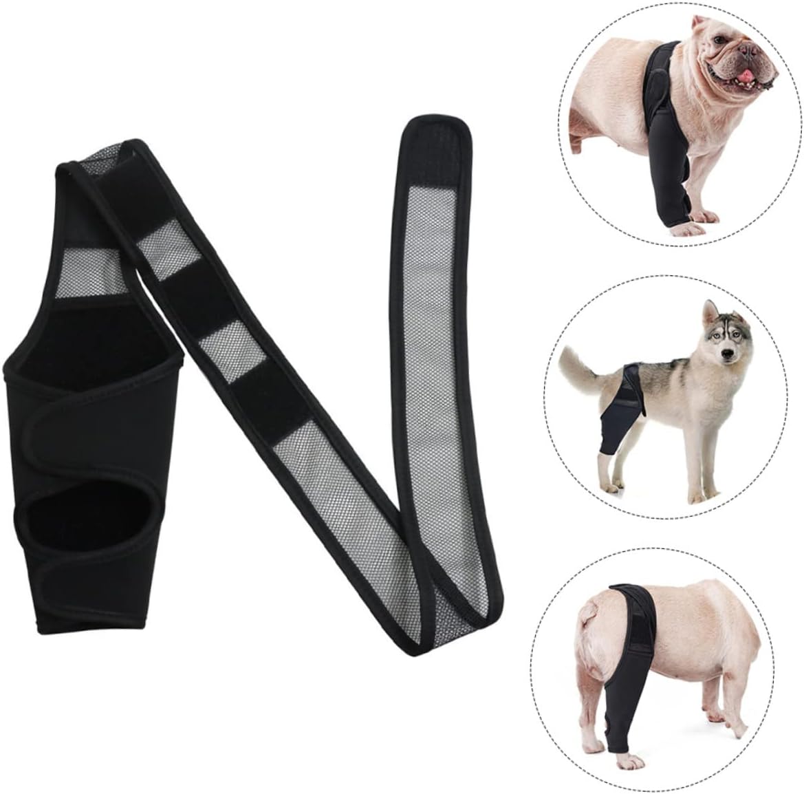 Rodillera para perro, dislocación de la rodilla, artritis, rehabilitación de articulaciones y rodilla, apoyo extra inmovilizado, alivia el dolor y reduce la inflamación