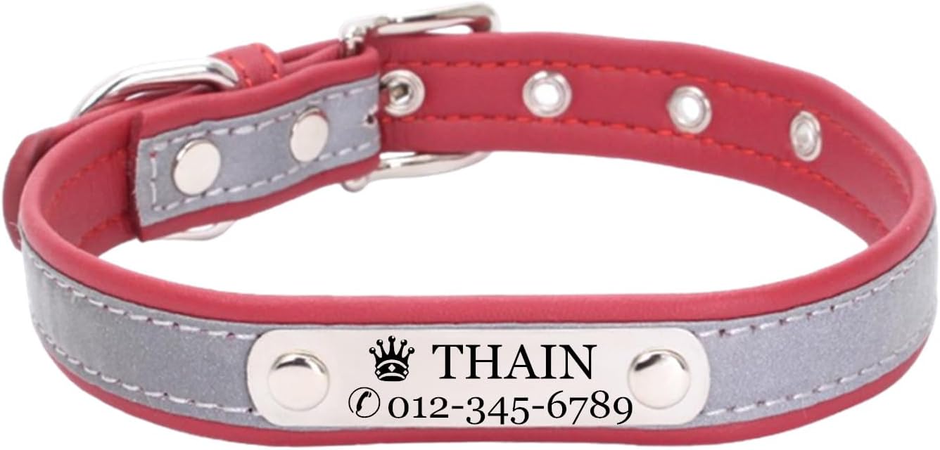 Collar personalizado para perros de raza pequeña y grande