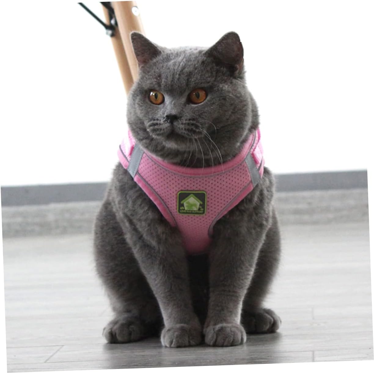 Pechera para gatos reflectante con tela transpirable