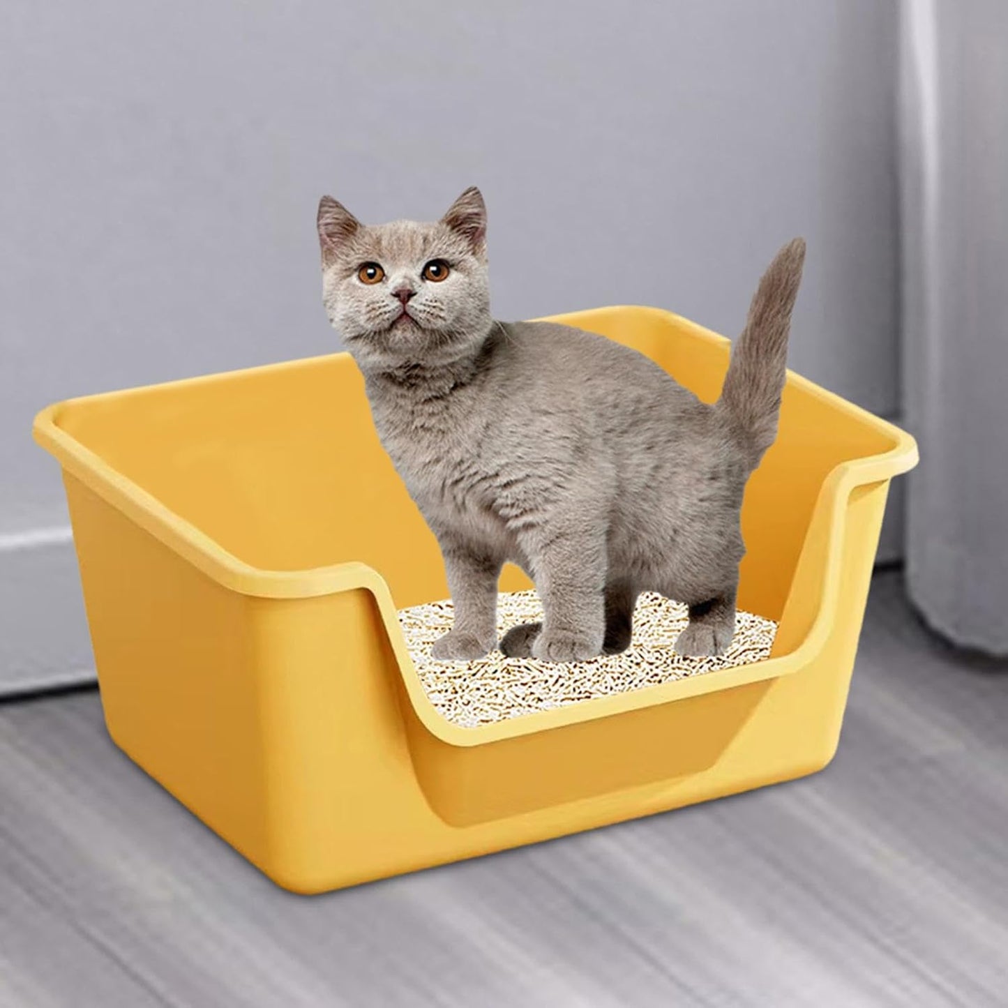 Arenero abierto para gatos con bandeja recogedora