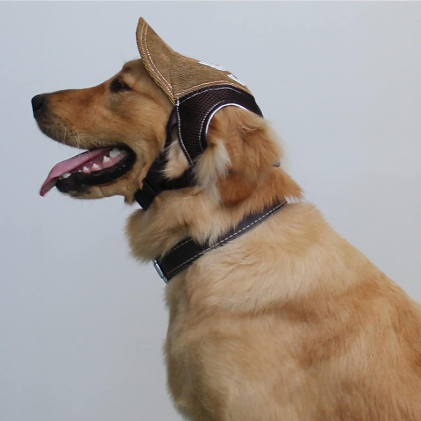 Gorro estilo beisbol ajustable para perros