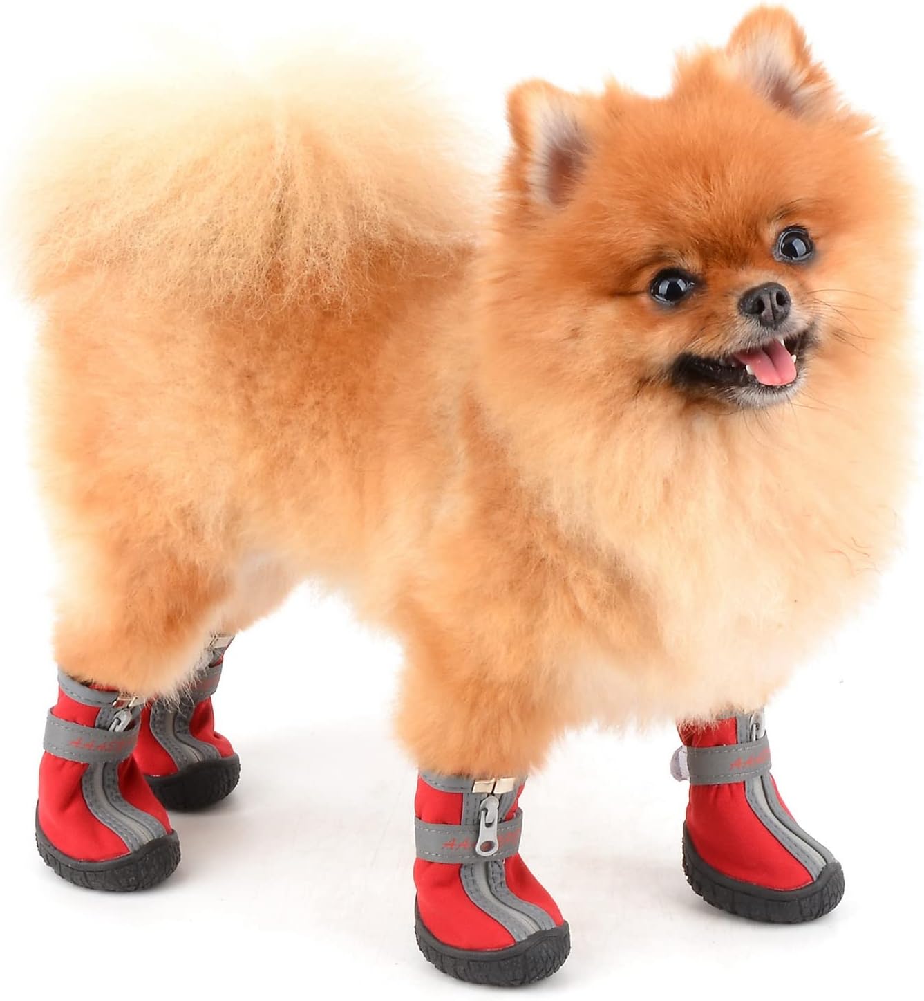 Zapatos antideslizante para mascotas