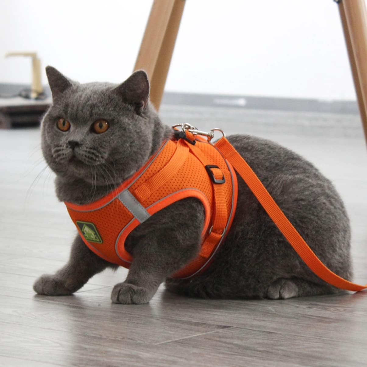 Pechera para gatos reflectante con tela transpirable