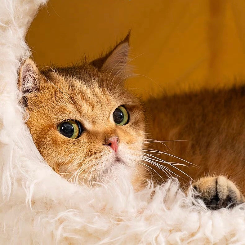 Casita afelpada para mascotas pequeñas L 53*53*50cm