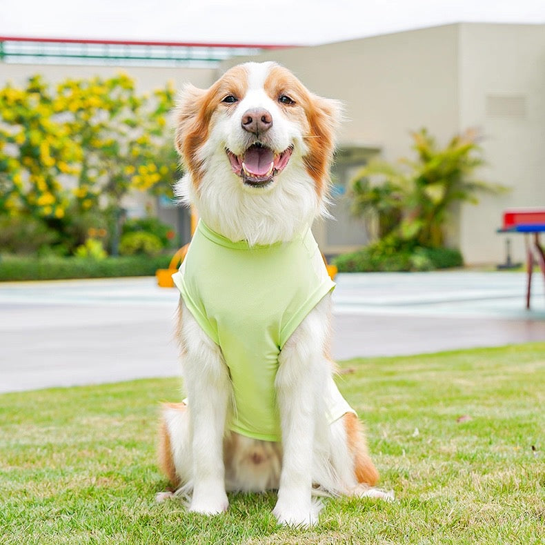 Camisa fresca para mascotas pequeñas, medianas y grandes