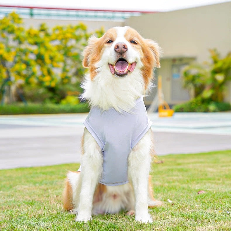 Camisa fresca para mascotas pequeñas, medianas y grandes