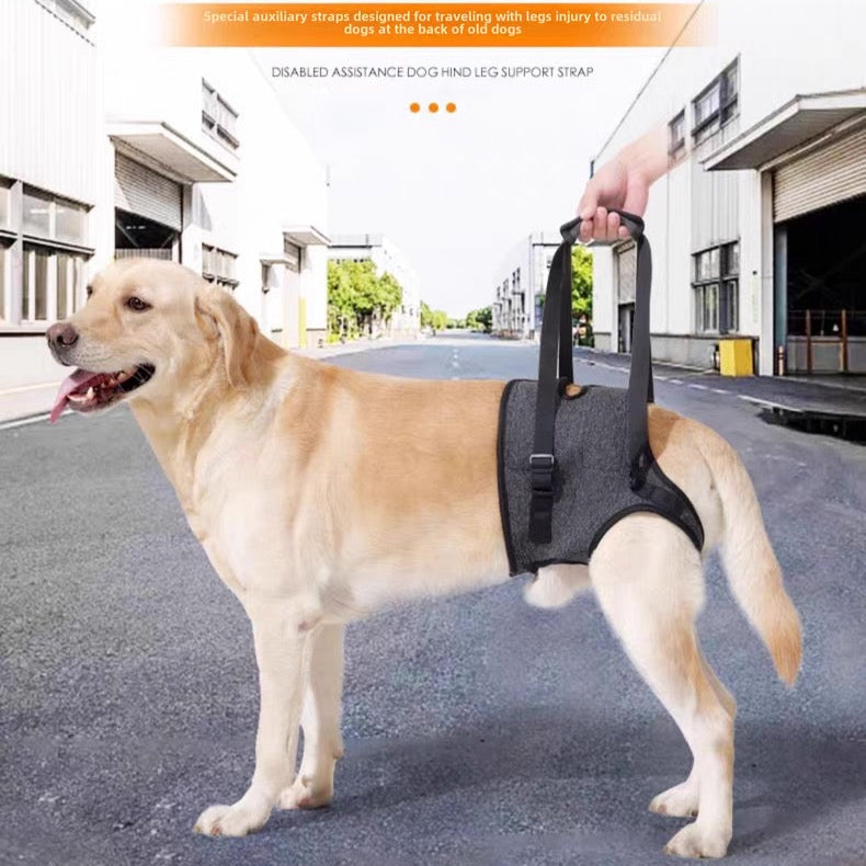 Soporte auxiliar de patas traseras para perros medianos y grandes