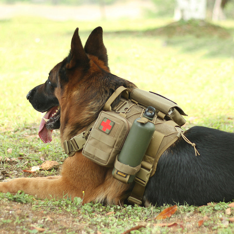 Arnés militar completo para perros