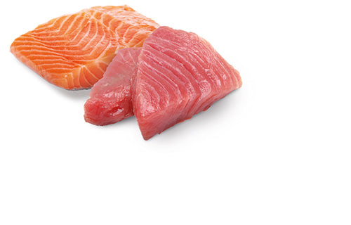 Comida Húmeda para Gato Farmina: N&D, Lata Ocean Atún y salmón 70g