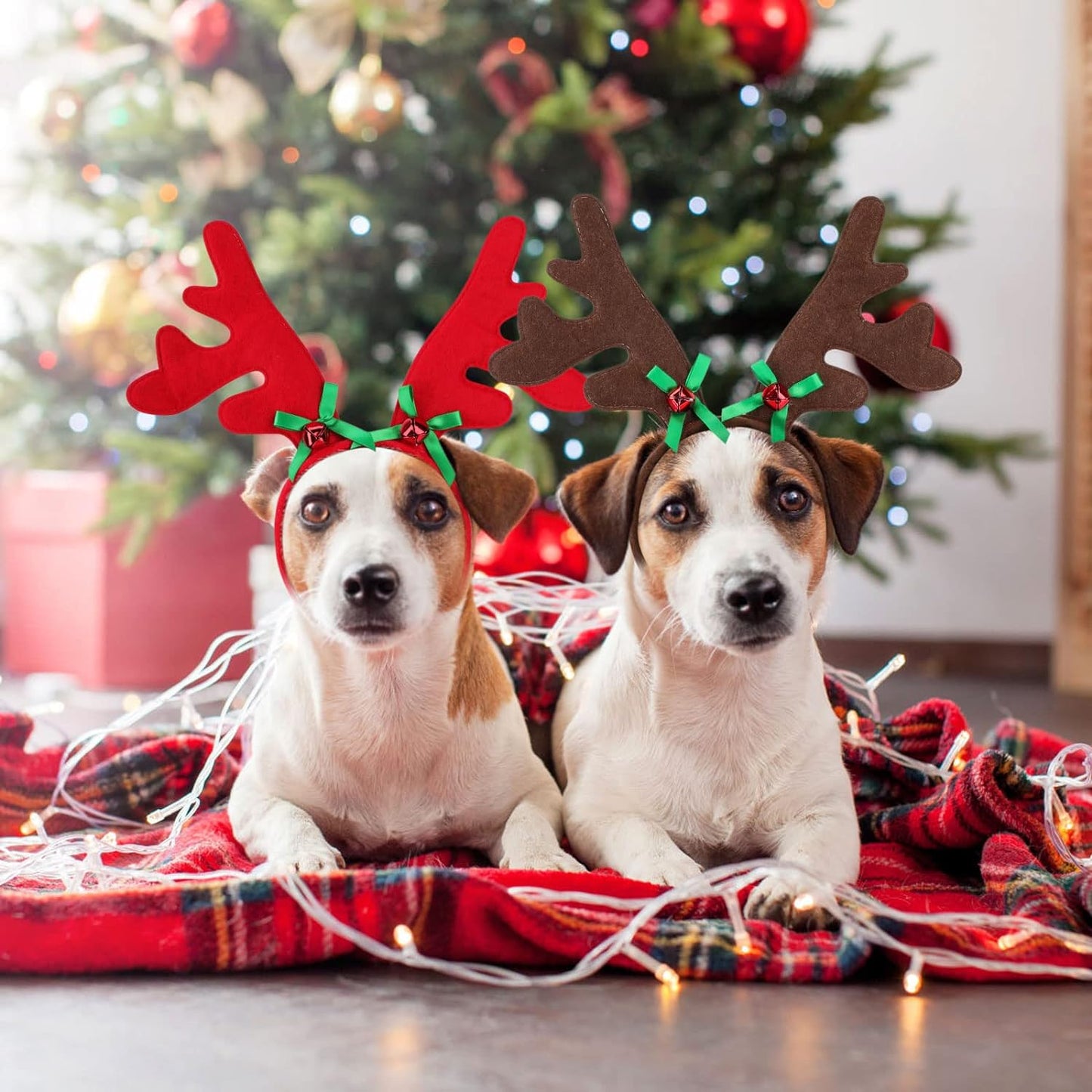 Orejas de reno para mascotas