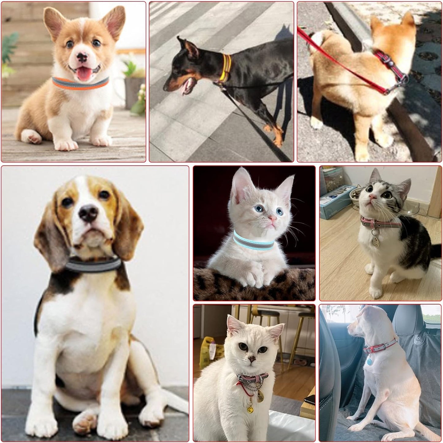 Collares de cuero para perros pequeños, medianos y grandes