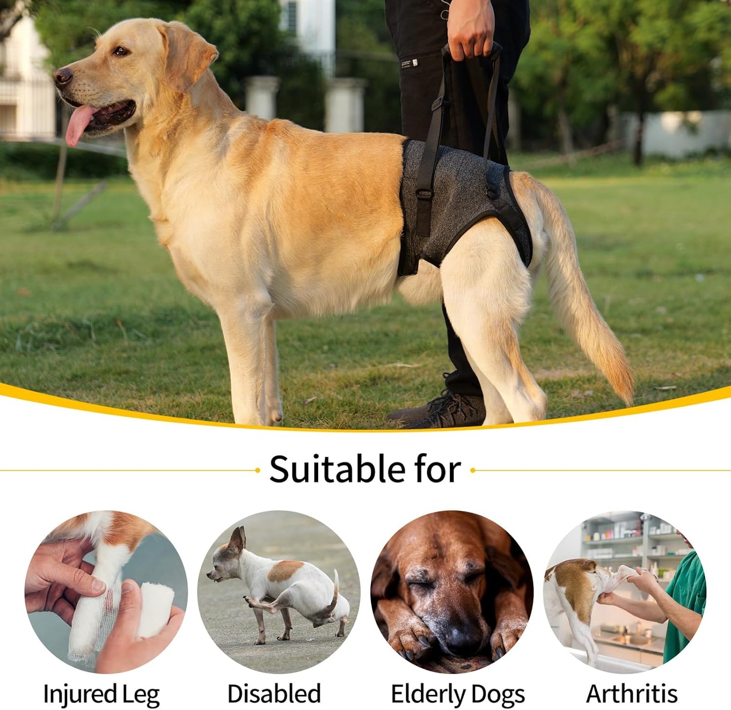 Soporte auxiliar de patas traseras para perros medianos y grandes