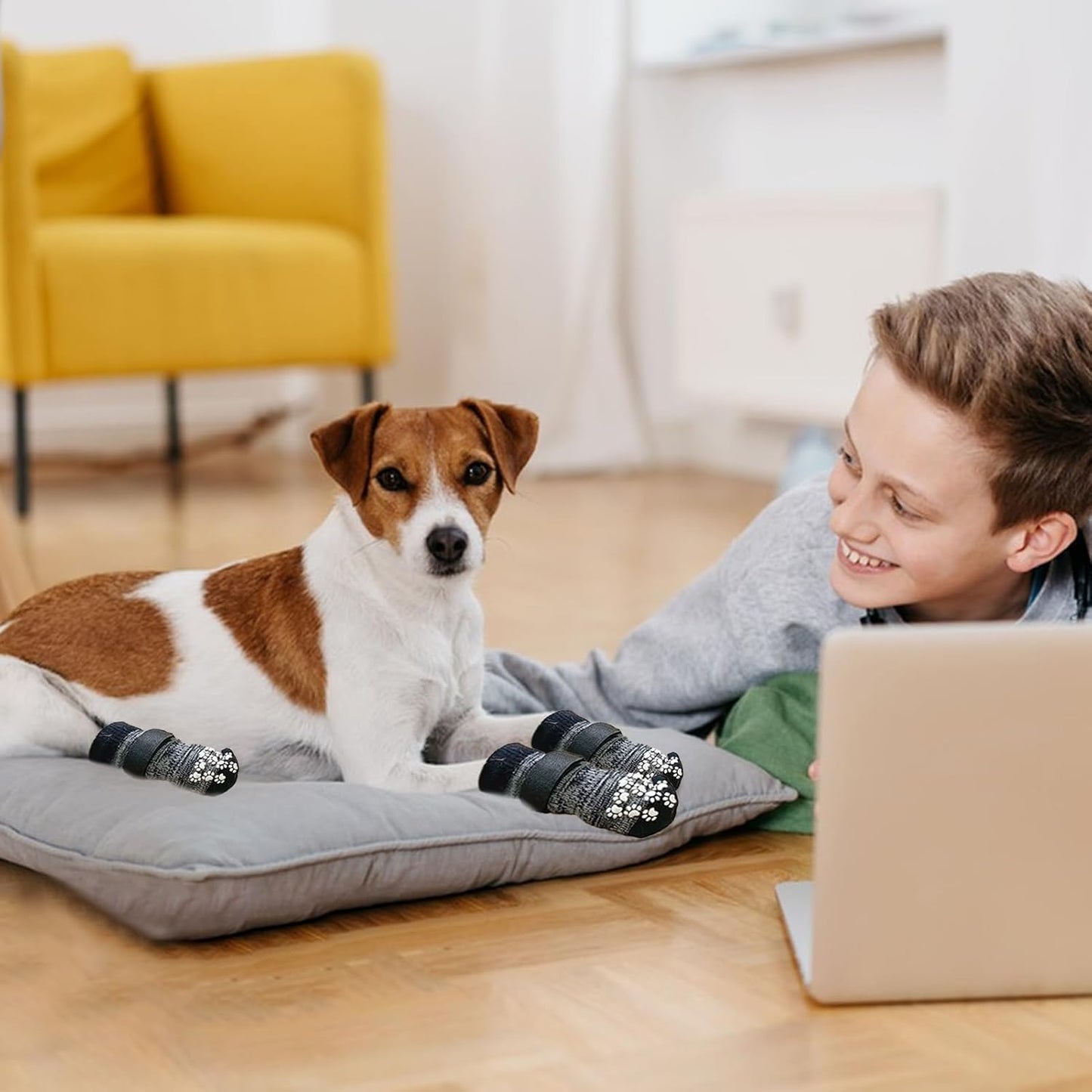 Medias antideslizante y impermeables para perros