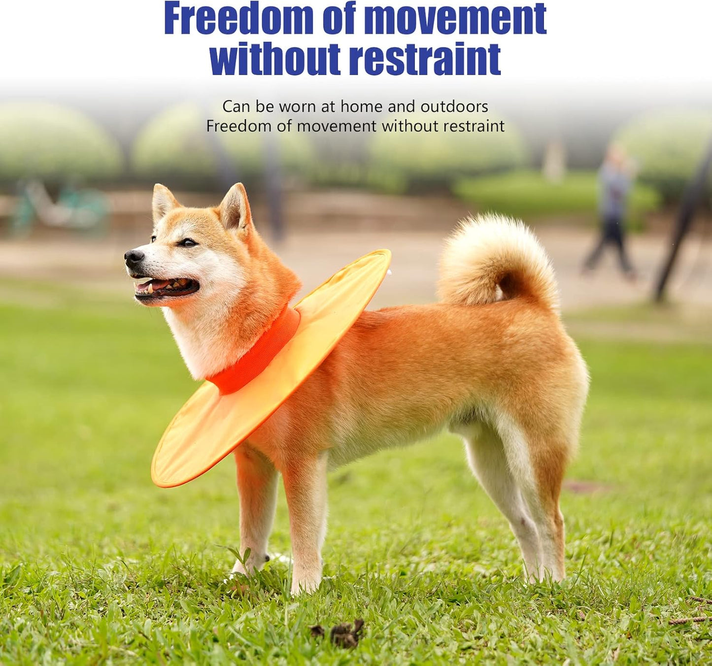 Collar Isabelino de tela impermeable para perros