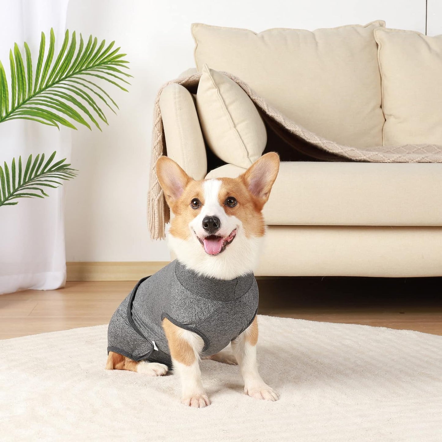 Traje post operación o hembras en celo para perros medianos y grandes